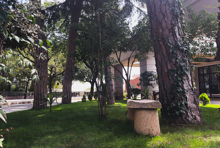 Garden path